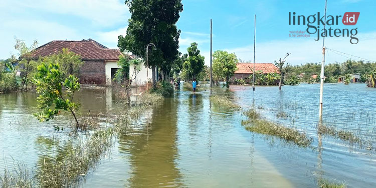 Belum Surut, 4.000 Warga Prampelan Demak Terendam Banjir