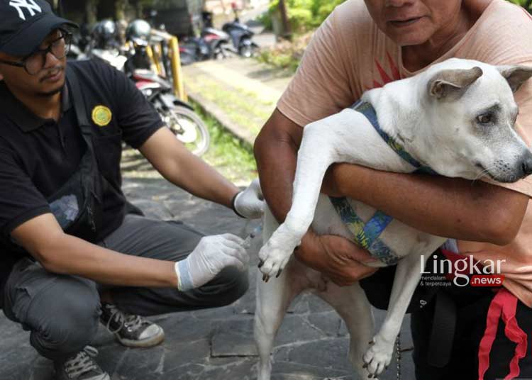 Cakupan Vaksinasi Rabies Anjing dan Kucing di Jakarta Terus Ditingkatkan