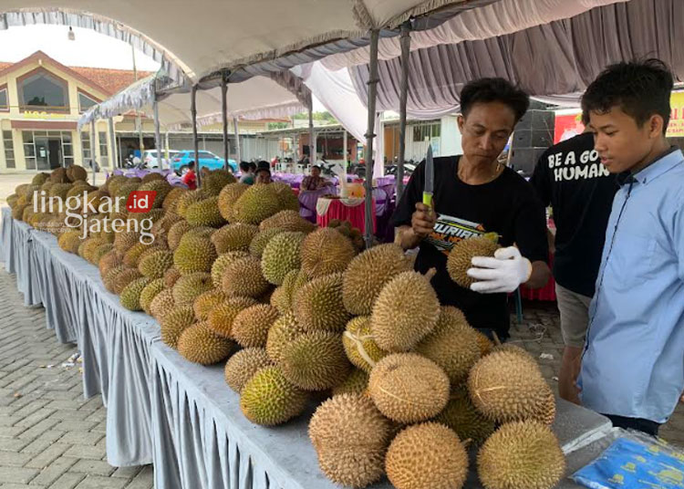 Baru 2 Hari Digelar, 5 Ton Montong Habis Terjual di Bazar Durian Pak Ndut Demak