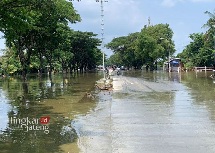 Pengendara Diimbau Hindari Jalur Pantura Demak-Kudus Meski Banjir Mulai Surut